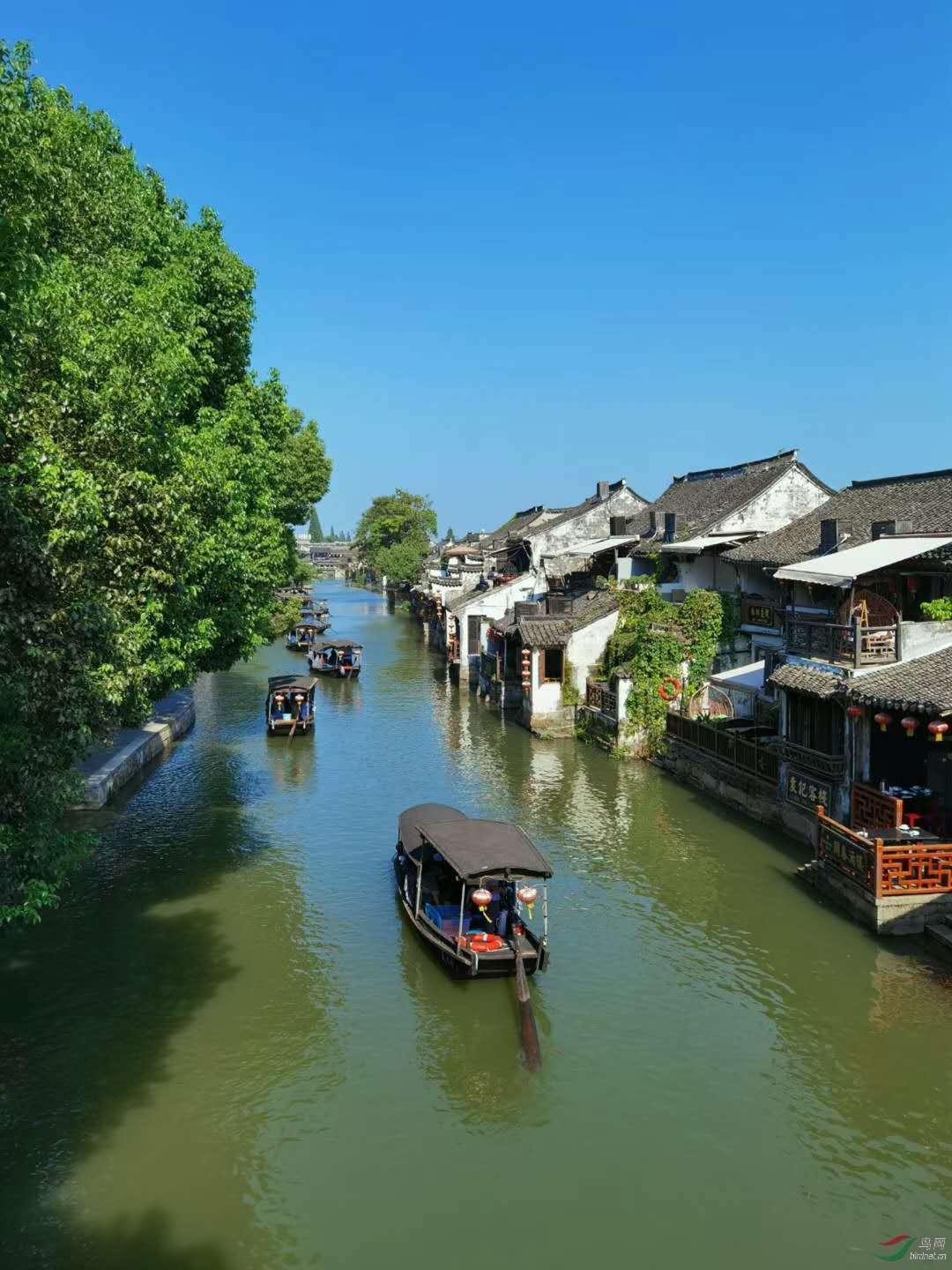 虫虫助手下载